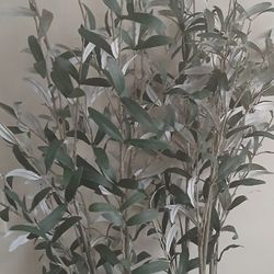 AVAILABLE! View All Pics  / Details.. .STUDIO  MC.GEE. .CAPTIVATING   FAUX  OLIVE  TREE  
