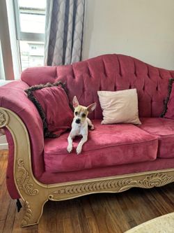 Pink Couches