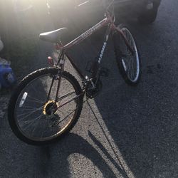 EQUATOR MAGNA BIKE 26” )(Speed 21