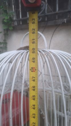 Tall Bird Cage