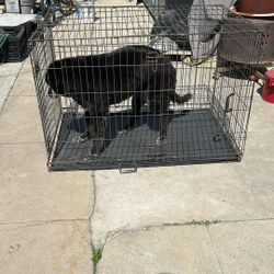 Extra Large Dog Kennel 