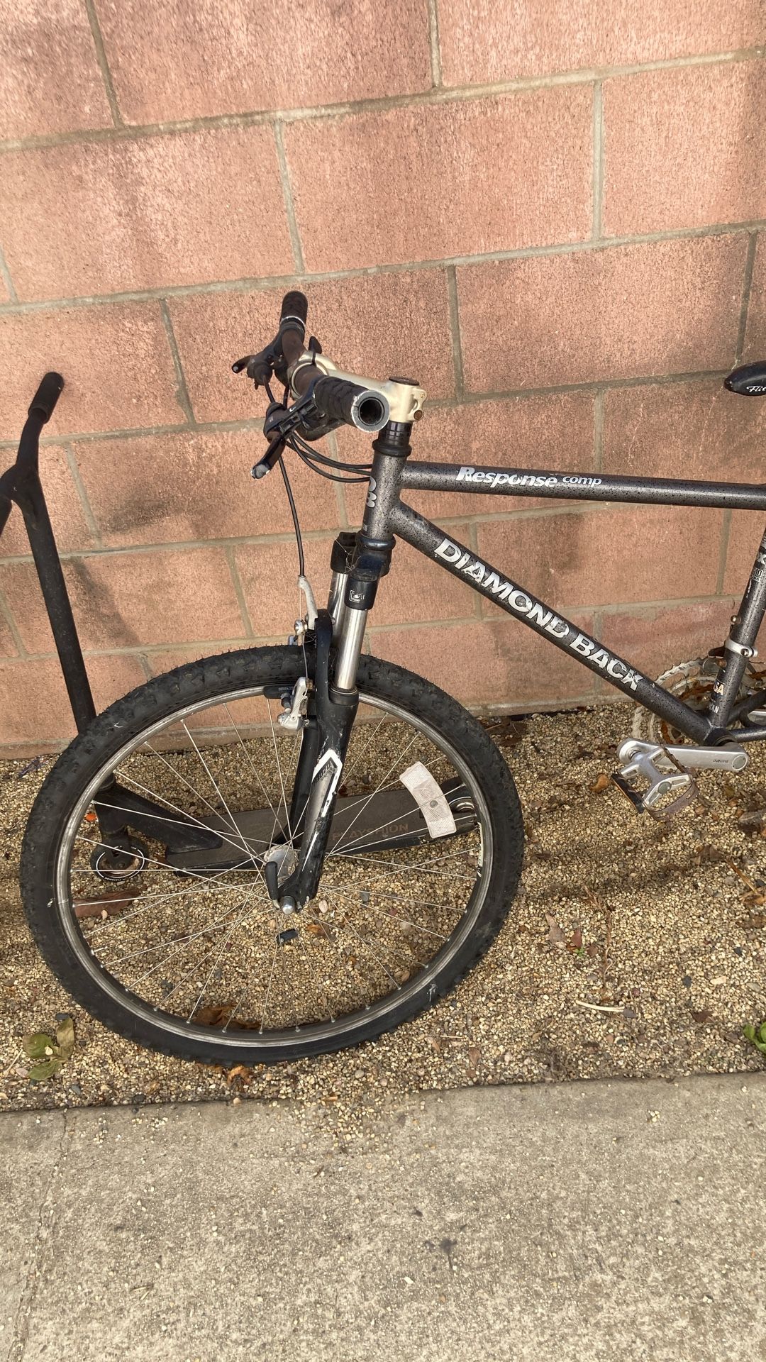 Diamond Back Mountain Bike
