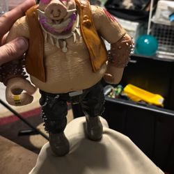 Teenage Mutant Ninja Turtles