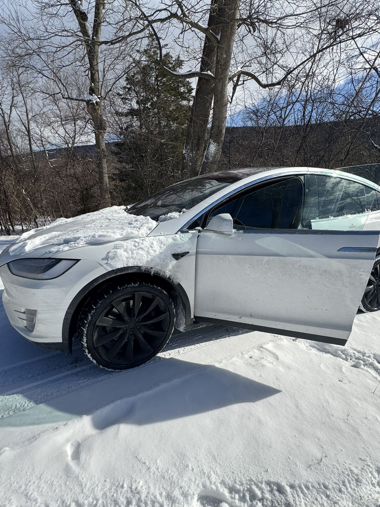2020 Tesla Model X
