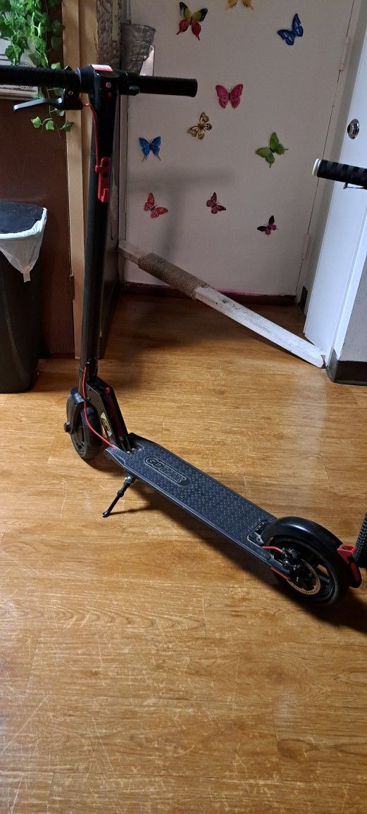 Electric Scooter 225