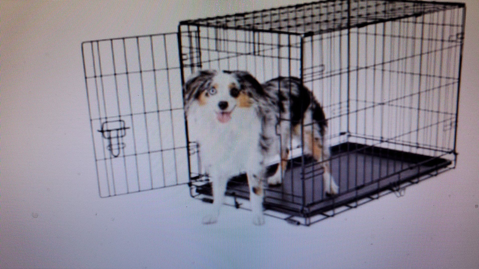 Dog crate collapseable