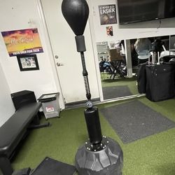 Cobra Reflex Punching Bag With Boxing Gloves 