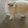 Doris L