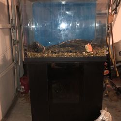 50-60 Fish Tank