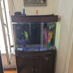 FISH TANK