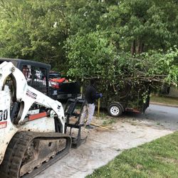 Bobcat And Mini excavator For You 