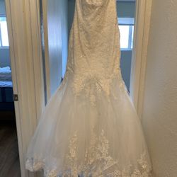 Wedding Dress and Cathedral Length Veil