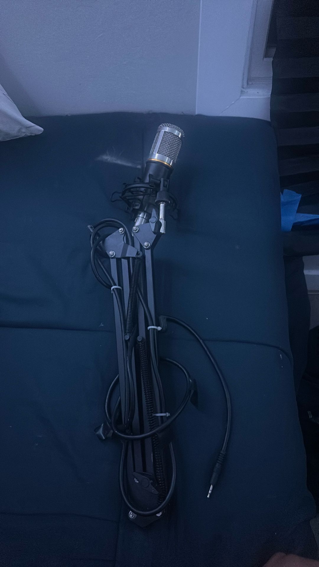 Microphone