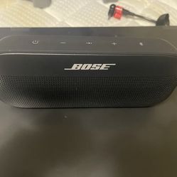 Bose Flex