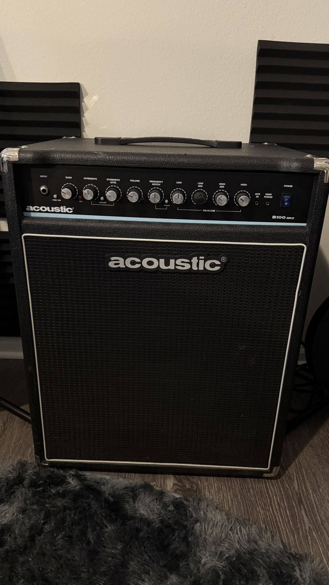 Acoustic Bass Amp 100w