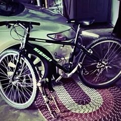 Nishiki mountain bike