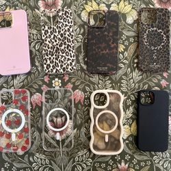 iPhone 16 Pro Max & iPhone 15 Cases 