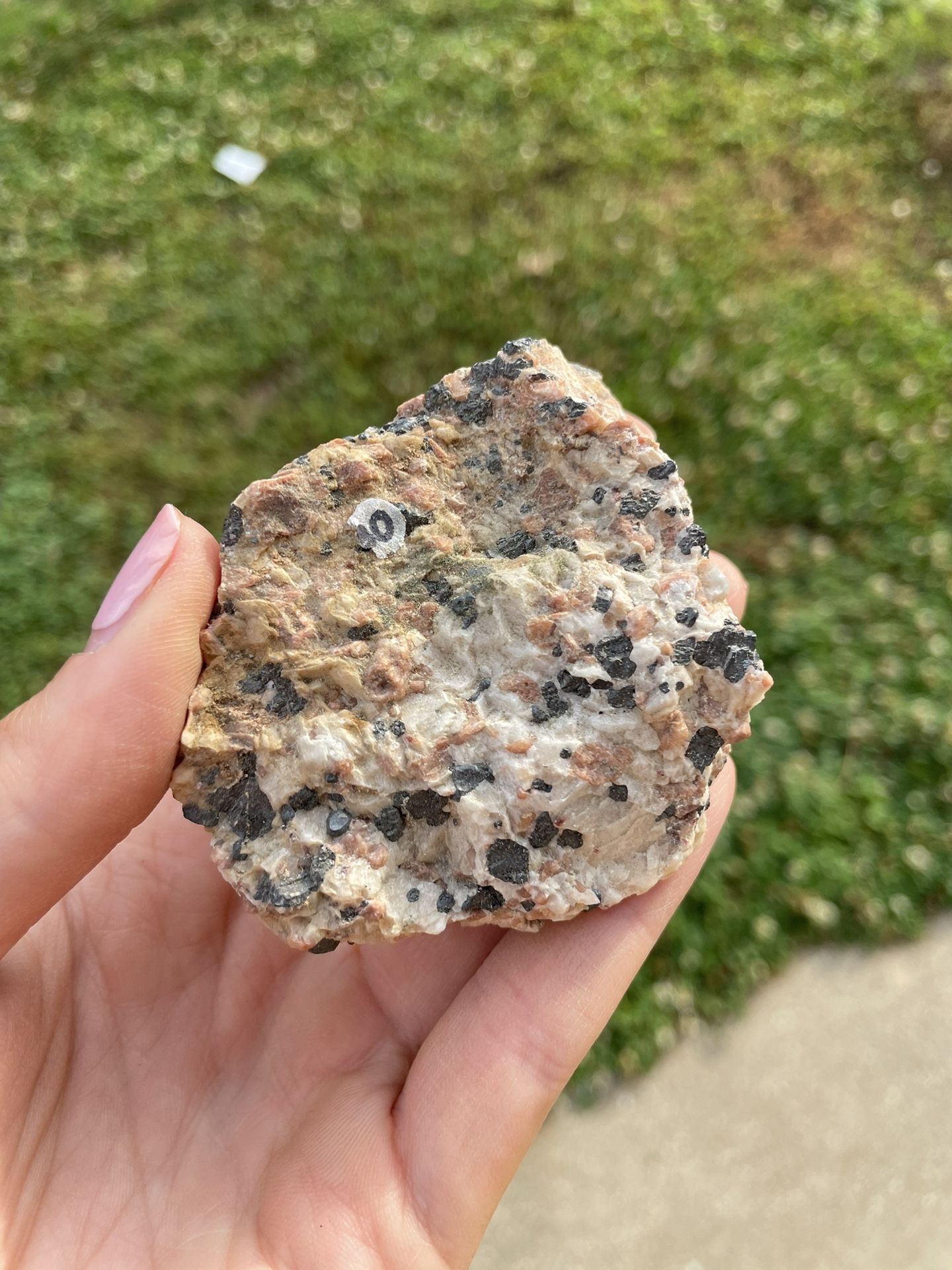 Pegmatite Intrusive Igneous Rock - Raw