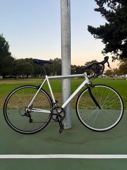57cm Euro Road Bike – Shimano Carbon Fork