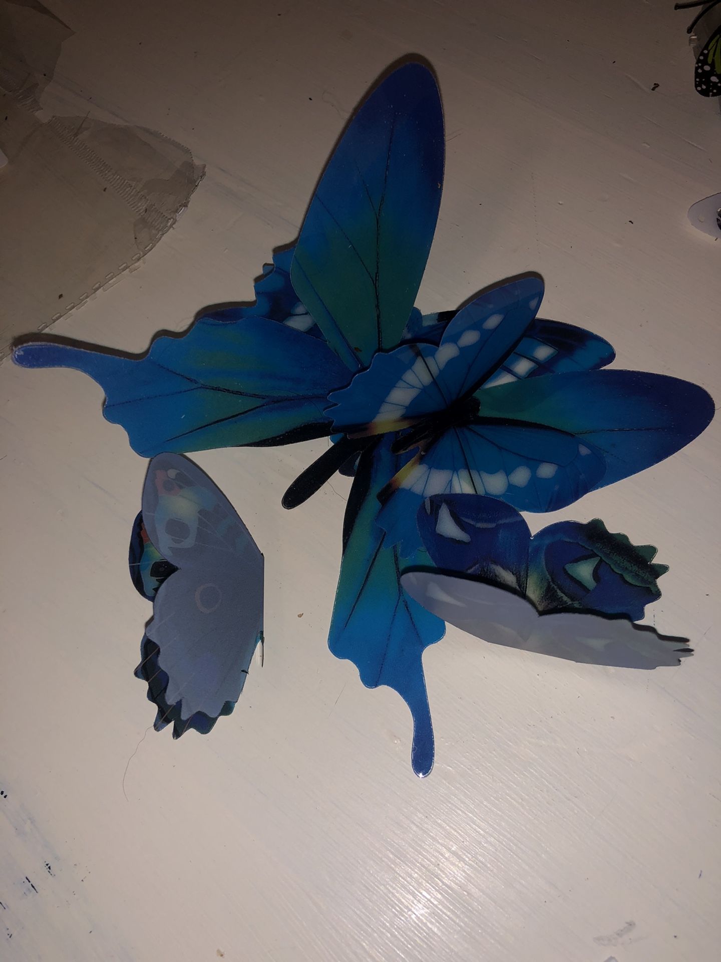 6 3d Wall Butterflies