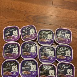 Casar dog wet food 12 For $10