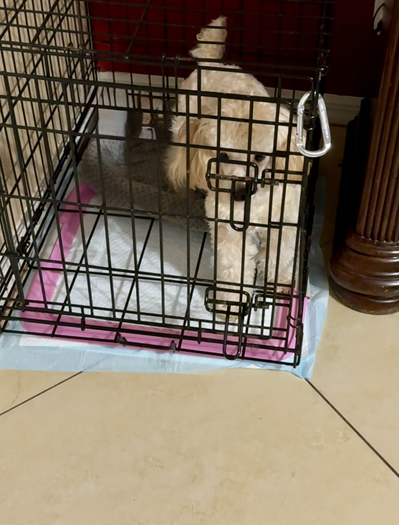 Puppy Kennel Crate