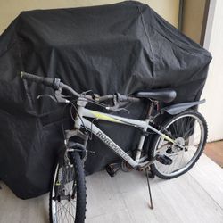 Free Roadmaster Bike. Needs Tires.