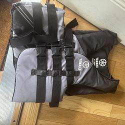 Life Vest 