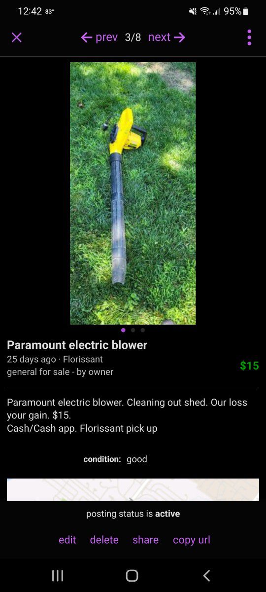 Paramount Electric Blower 