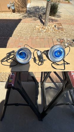 Pair of Blue Bulb Clamp Work Grow Lights