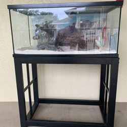 Reptile / Fish Tank Like New