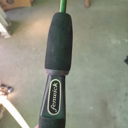 Vintage Fresh Water Fishing Pole Fenwick Trout Fish With Og Container