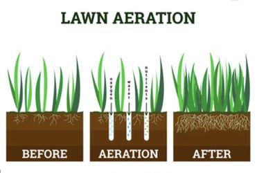 Lawn Aeration Available 