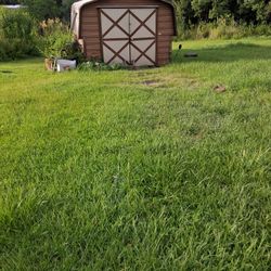 Metal Shed Wood Floor
