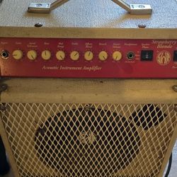 Strawberry Blonde Acoustic Guitar Amplifier Amp