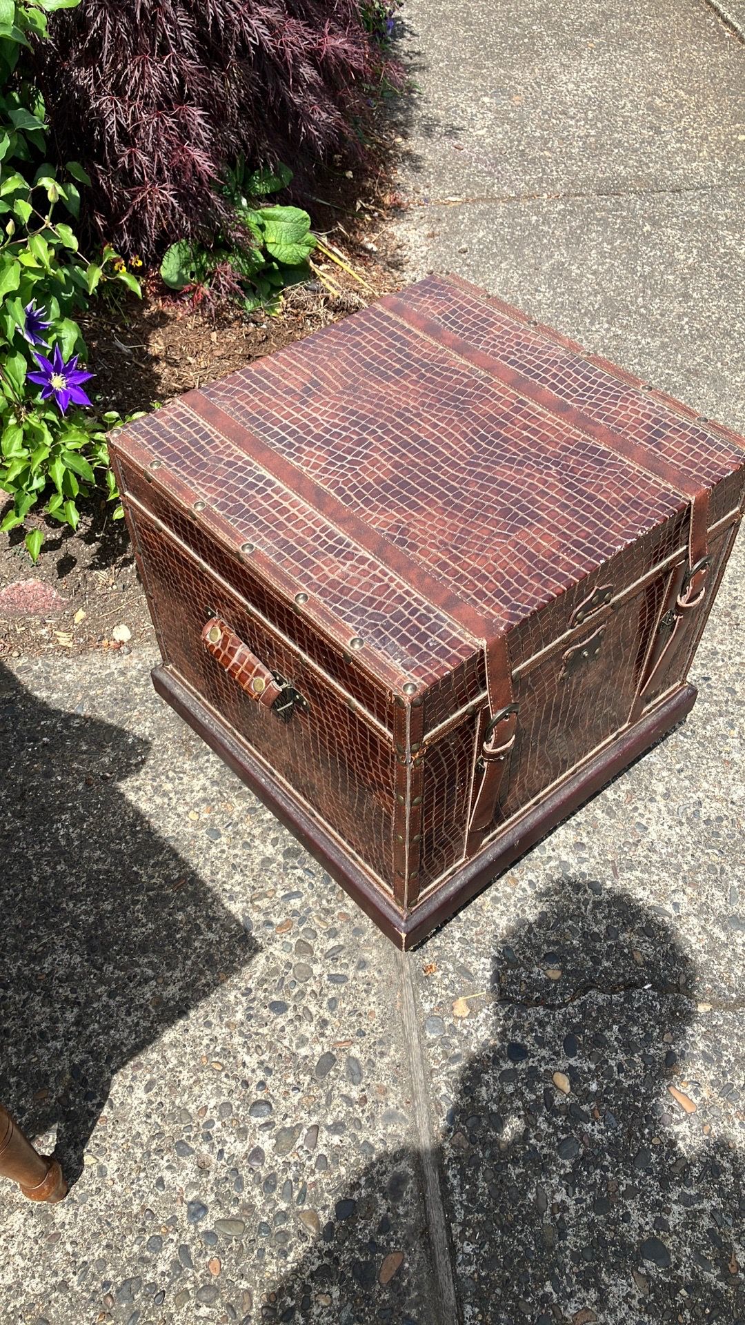 Storage Trunks. (Two of them)