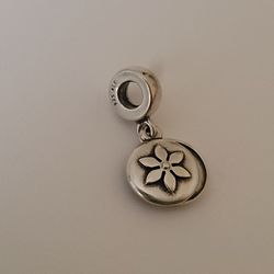 Pandora Retired Charm