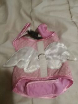 Very cute costume for small dog