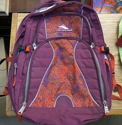 High Sierra Laptop Backpack