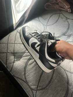 Panda Dunk