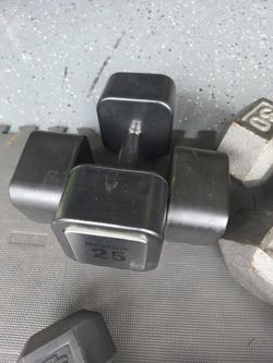 25 Lbs Dumbbells Set Weightlift Workout Weight Exercise 25 Pounds Dumbells Set Reebok Dumbbells Set 