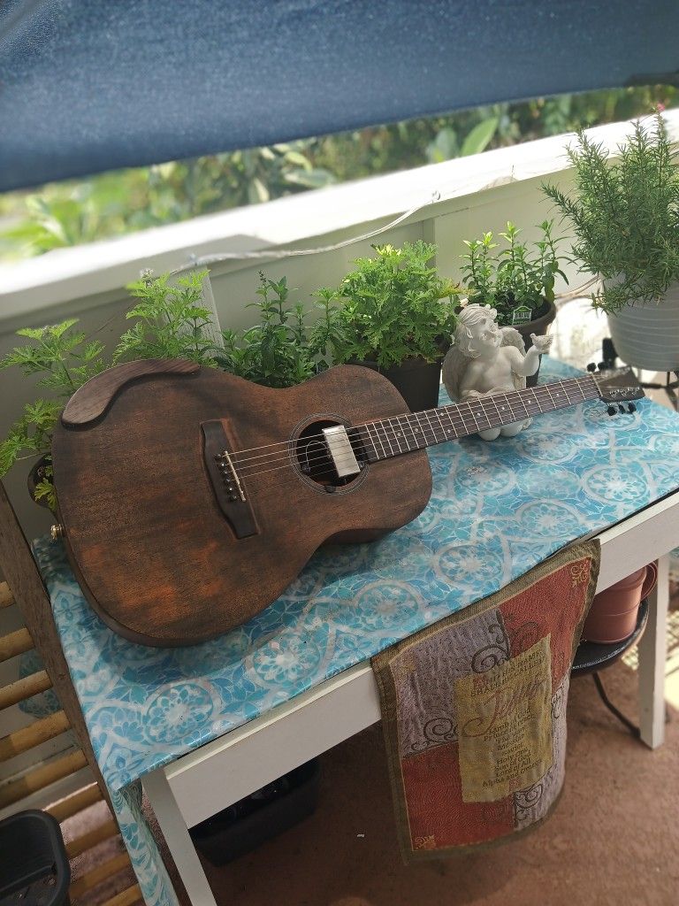 Acoustic Electric Parlor Guitar