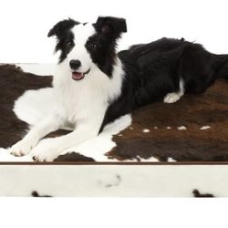 Faux Fur Orthopedic Dog Bed For Medium Dogs 