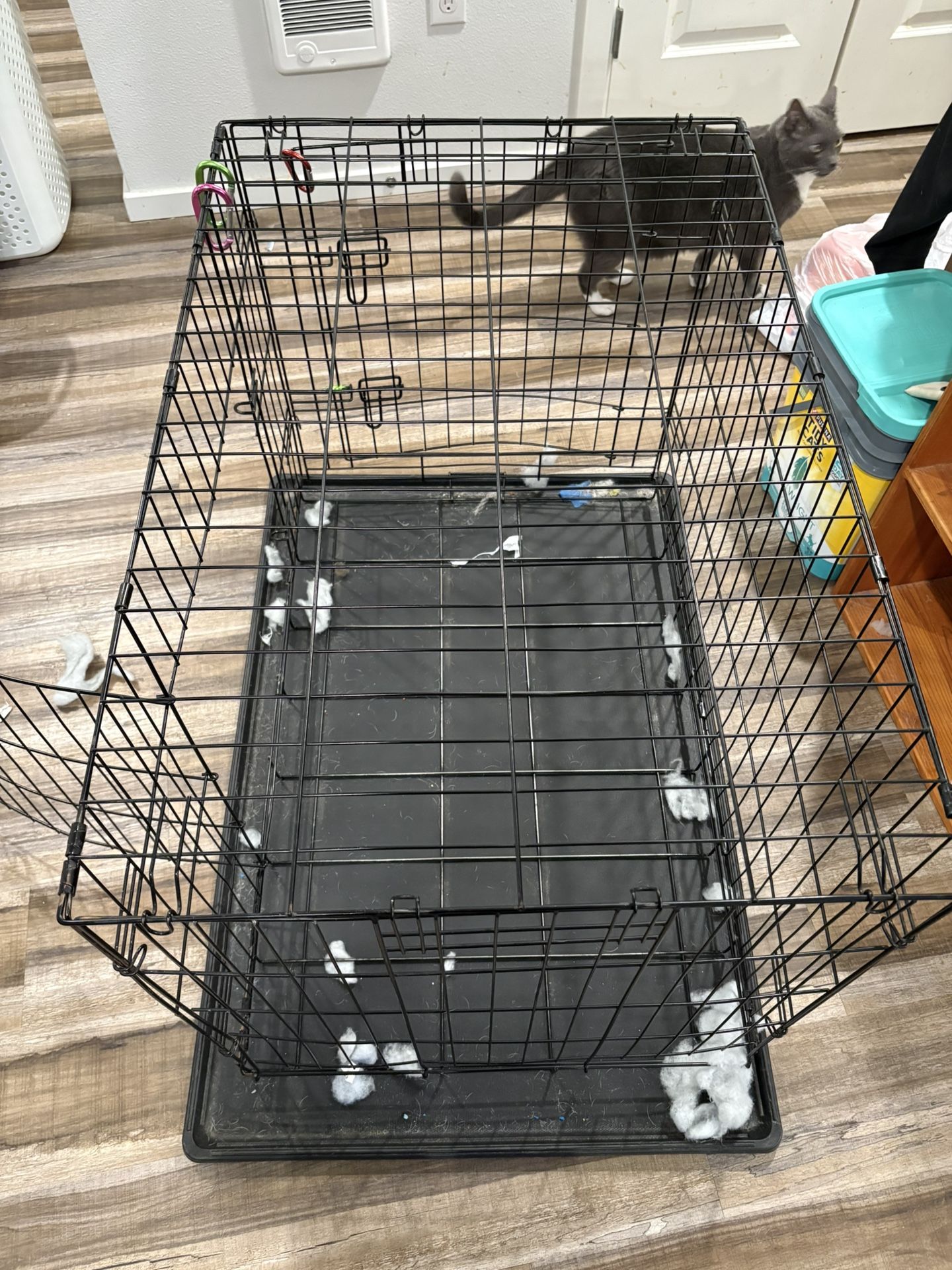 Dog Kennel
