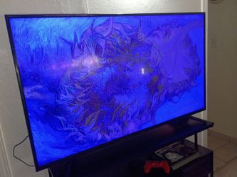 Large Flat Screen TV
