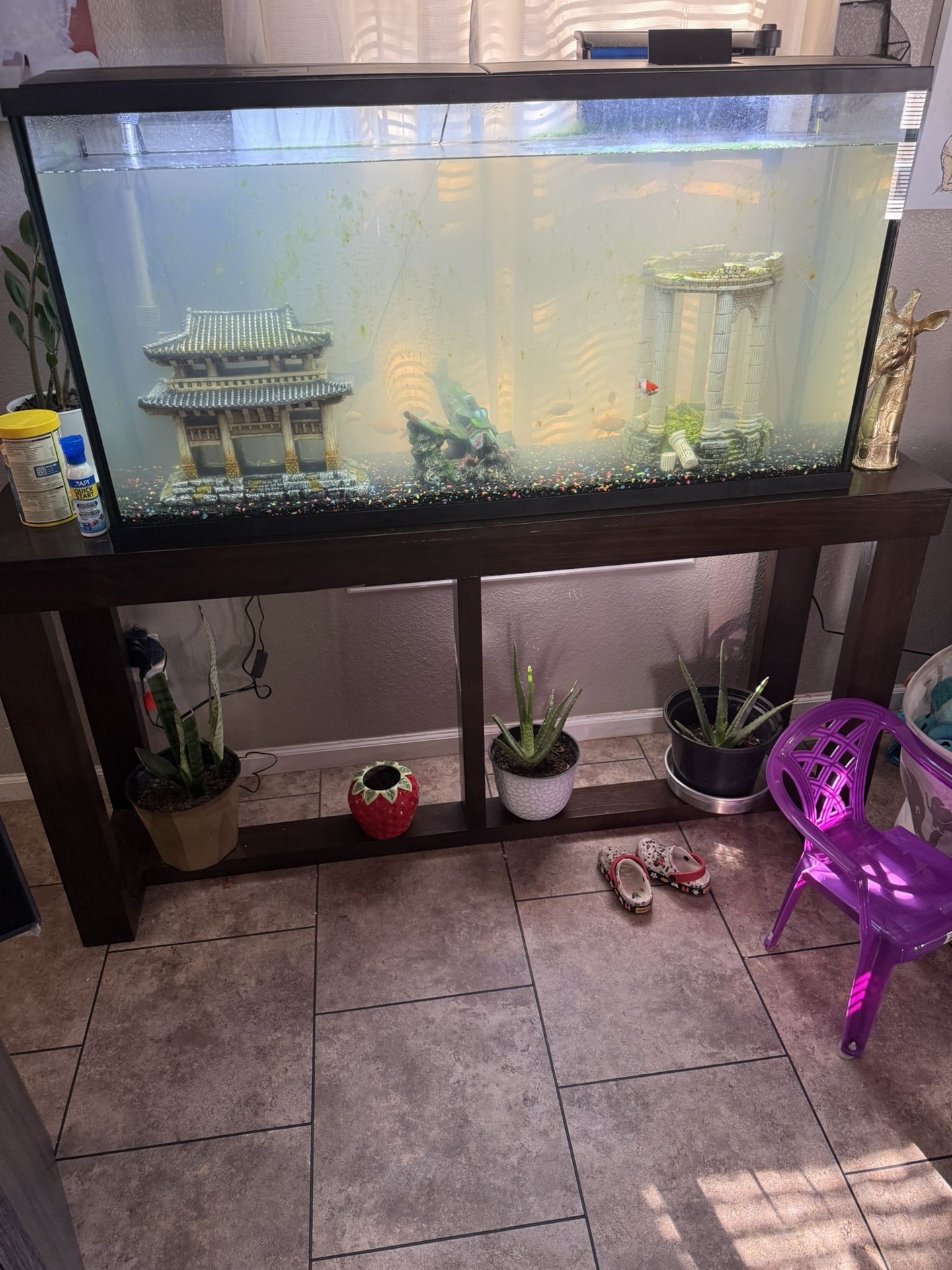 Fish Tank