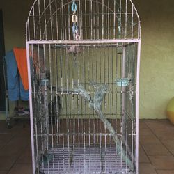 Macaw cage $250.00 CASH, TEXT FOR PRICES. 