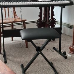 Brand New 61 Key BoredPiano