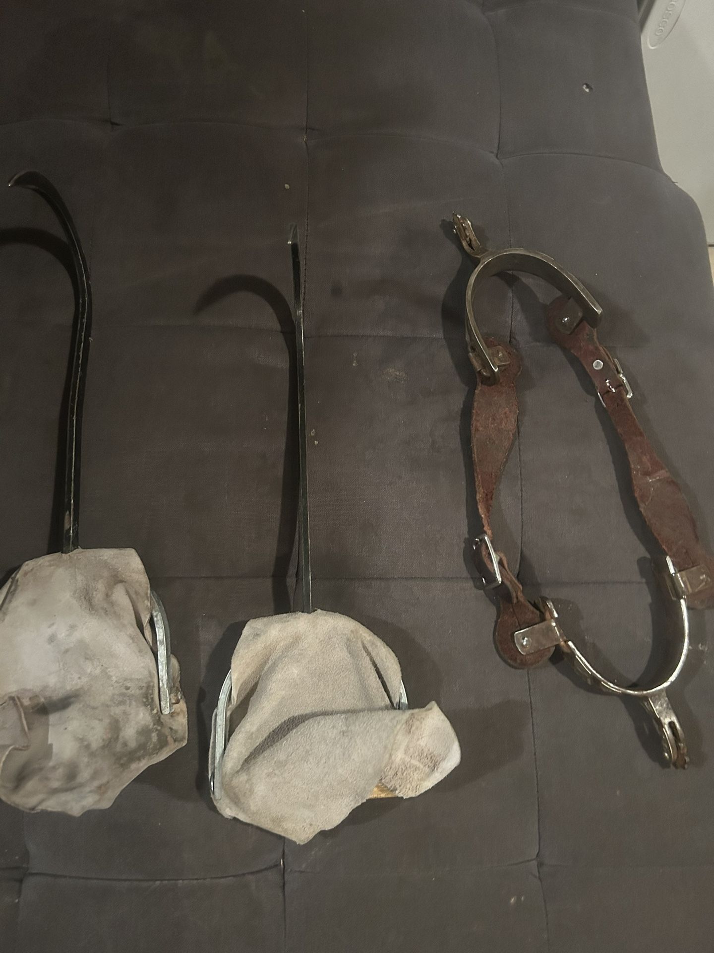 Horse Asentíais 
