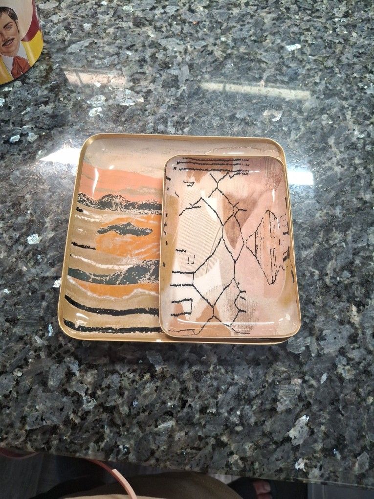 Stainless Steel Plates 2 Set